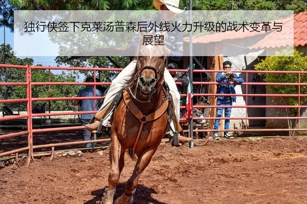 独行侠签下克莱汤普森后外线火力升级的战术变革与展望